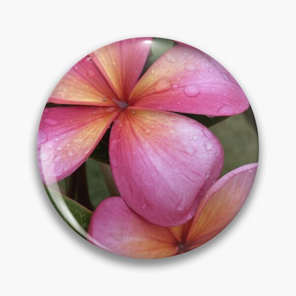 Item preview, FRANGIPANI TROPICAL BEAUTIES  designed and sold by Opalbluerose.