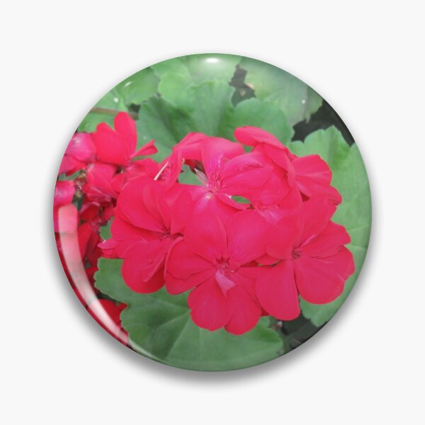 Item preview, Bright red pelargonium designed and sold by greentiger1.