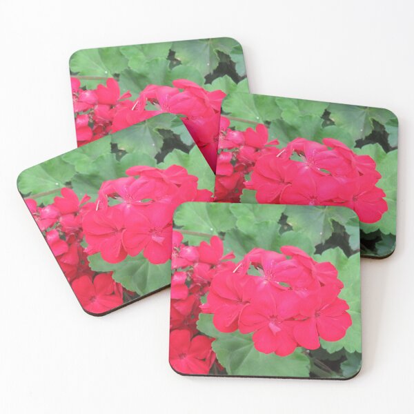 Item preview, Bright red pelargonium designed and sold by greentiger1.