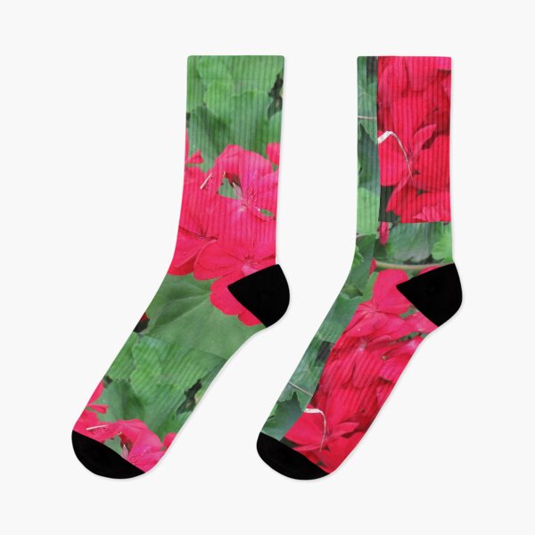 Item preview, Bright red pelargonium designed and sold by greentiger1.