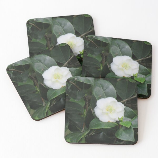 Item preview, White camellia designed and sold by greentiger1.