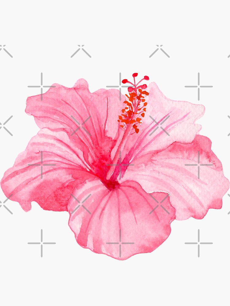 Aperçu 3 sur 3. Sticker avec l'œuvre Autocollant Hibiscus rose créée et vendue par AquarelDesigns.