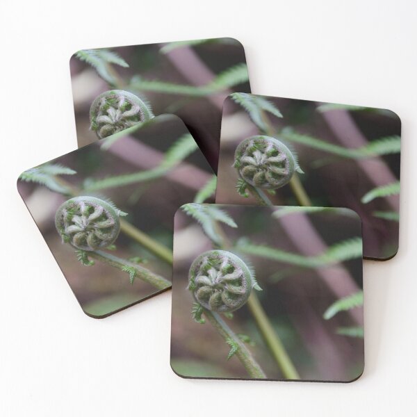 Item preview, Ferns in The Dandenong Ranges, Victoria, Australia designed and sold by Dreamscape Eclectic .