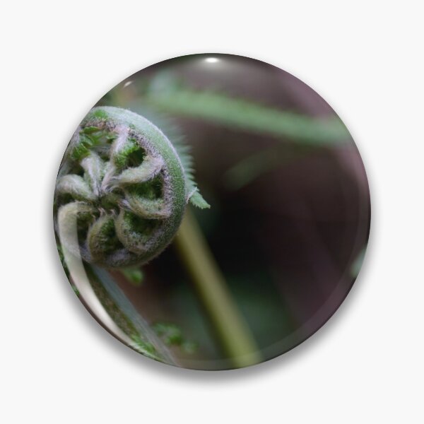 Item preview, Ferns in The Dandenong Ranges, Victoria, Australia designed and sold by Dreamscape Eclectic .