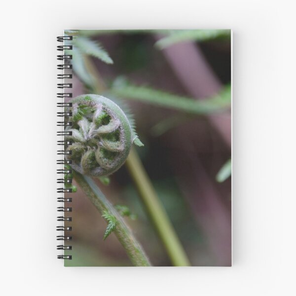 Item preview, Ferns in The Dandenong Ranges, Victoria, Australia designed and sold by Dreamscape Eclectic .