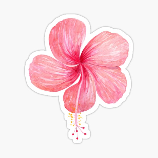 Item preview, Pink Hibiscus Sticker designed and sold by AquarelDesigns.