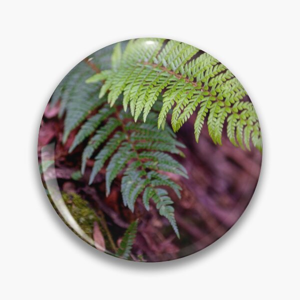 Item preview, Ferns in The Dandenong Ranges, Victoria, Australia designed and sold by Dreamscape Eclectic .