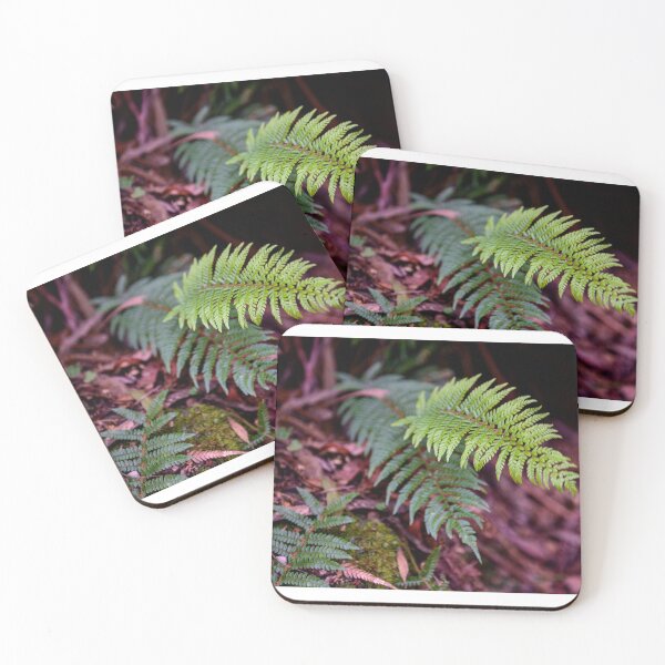 Item preview, Ferns in The Dandenong Ranges, Victoria, Australia designed and sold by Dreamscape Eclectic .
