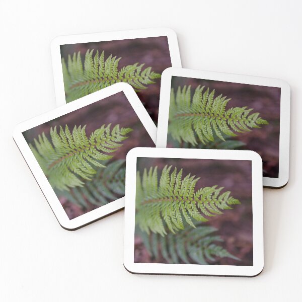 Item preview,  Ferns in The Dandenong Ranges, Victoria, Australia designed and sold by Dreamscape Eclectic .