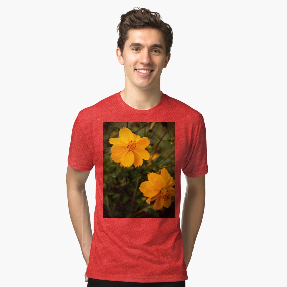 Golden Coreopsis Tri-blend T-Shirt