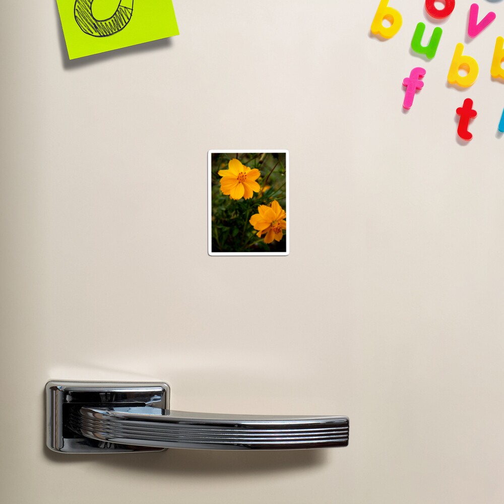Golden Coreopsis Magnet
