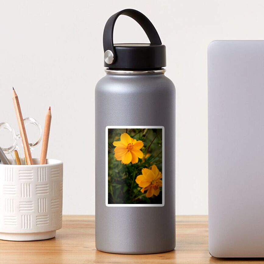 Golden Coreopsis Sticker