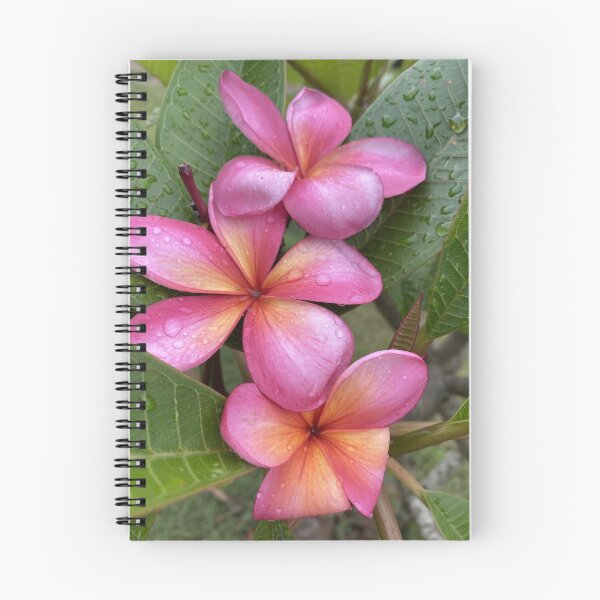 Item preview, FRANGIPANI TROPICAL BEAUTIES  designed and sold by Opalbluerose.