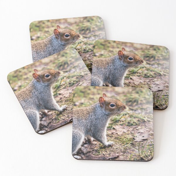 Item preview, Squirrel up close designed and sold by DelvesPhoto.