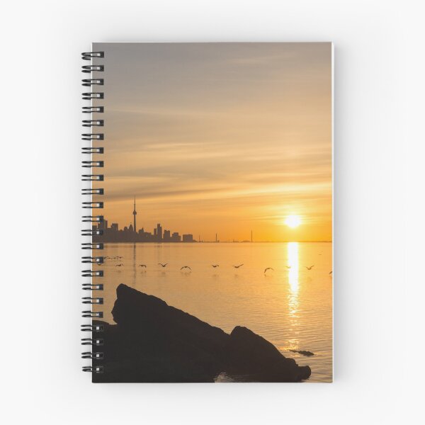 Item preview, Brilliant Sunrise with Birds - Toronto Skyline with Free Flying Cormorants designed and sold by Georgia Mizuleva.