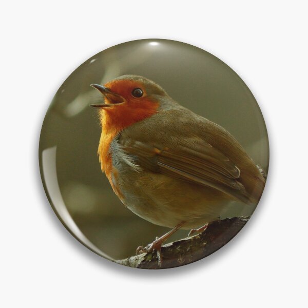Item preview, Song of the Robin designed and sold by cjwarburton.