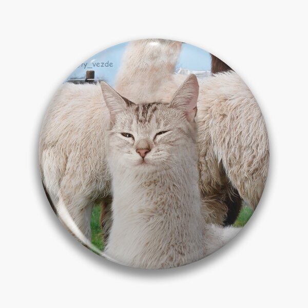 Item preview, Alpaca cat relaxes designed and sold by koty-vezde.