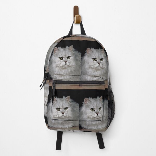 Item preview, r2750/ 2 " Choupette " avec le Studio Portable Okaio et 3 (bal) flahs Okaio - Les Chats du temps de l'Argentique - Cats from the time of the film " (h) Olavia-Olao Okaio Créations designed and sold by o.okaïo.