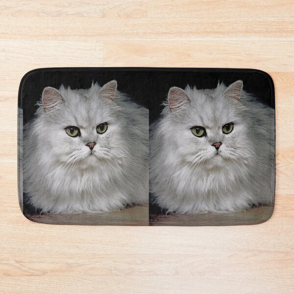 Item preview, r2750/ 2 "  Choupette " avec le Studio Portable Okaio et 3 (bal) flahs Okaio  - Les Chats du temps de l'Argentique - Cats from the time of the film "  (h) Olavia-Olao Okaio Créations designed and sold by o.okaïo.