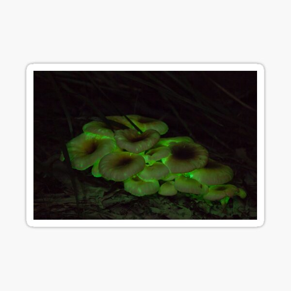 Item preview, Glowing Mushroom designed and sold by Withns.