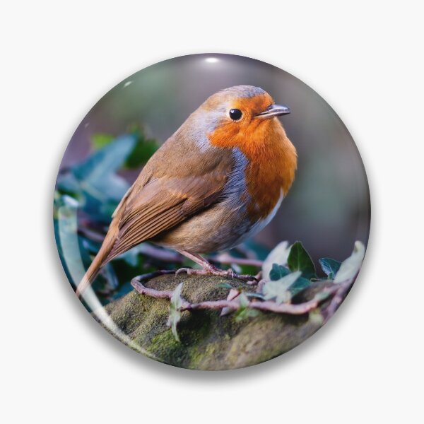 Item preview, Red and Proud designed and sold by DelvesPhoto.