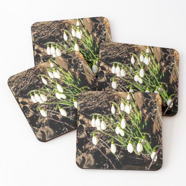 Item preview, Snowdrops White spring flowers Botanical Floral designed and sold by Tanja Dianova.