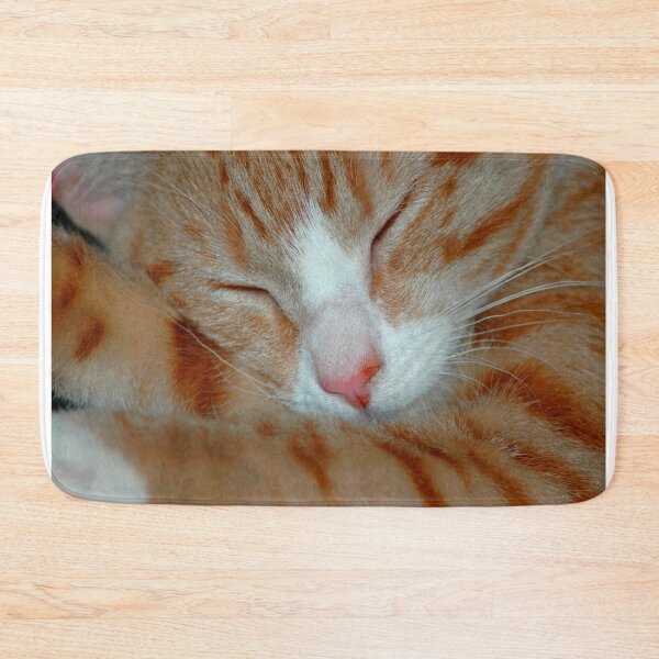 Item preview, Ginger Kitten Sleeping designed and sold by Mandy Collins.