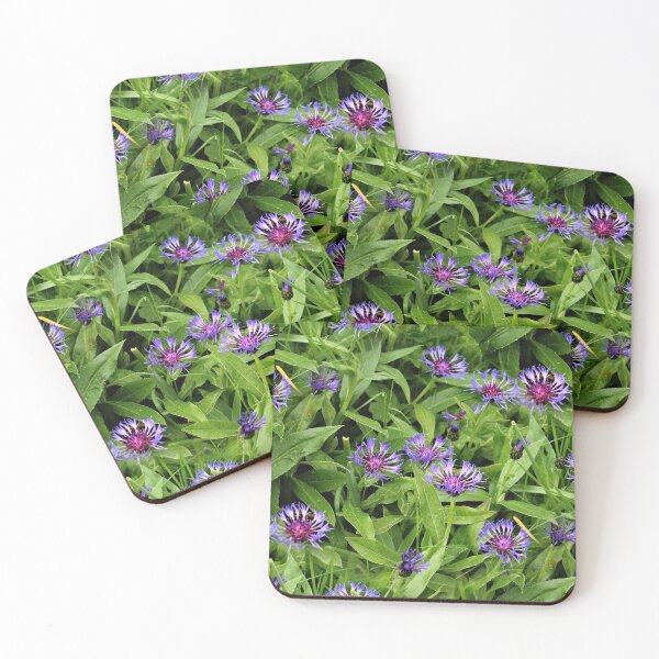 Item preview, Eternal Cornflowers (pattern) designed and sold by Yampimon.