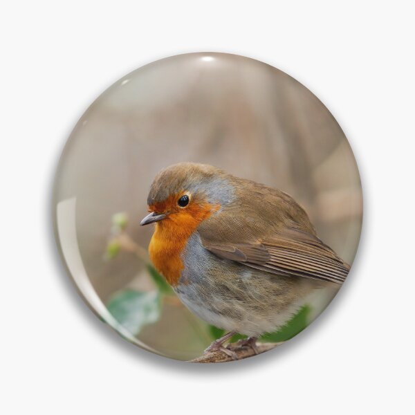 Item preview, A plump Robin with the light designed and sold by DelvesPhoto.