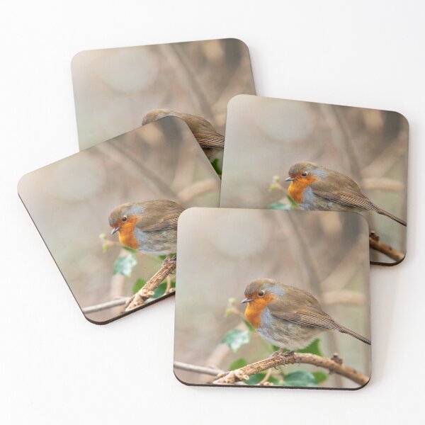 Item preview, A plump Robin with the light designed and sold by DelvesPhoto.