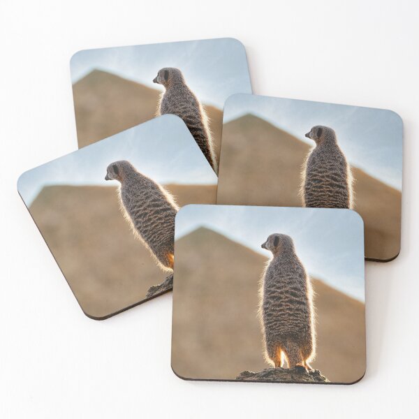 Item preview, Meerkat on the rock designed and sold by DelvesPhoto.