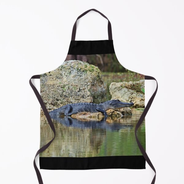 Item preview, Gator in the Everglades IV designed and sold by Michiale.