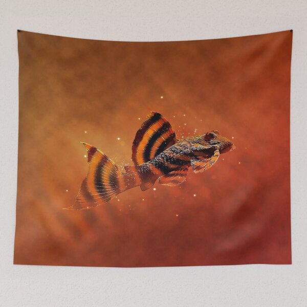 Item preview, L397 Tiger Pleco designed and sold by GFishy.