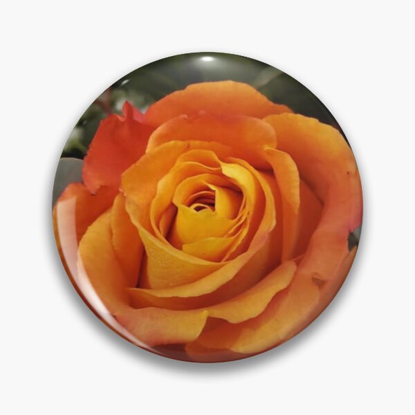 Item preview, Ginger Snap Rose designed and sold by DonnaM.