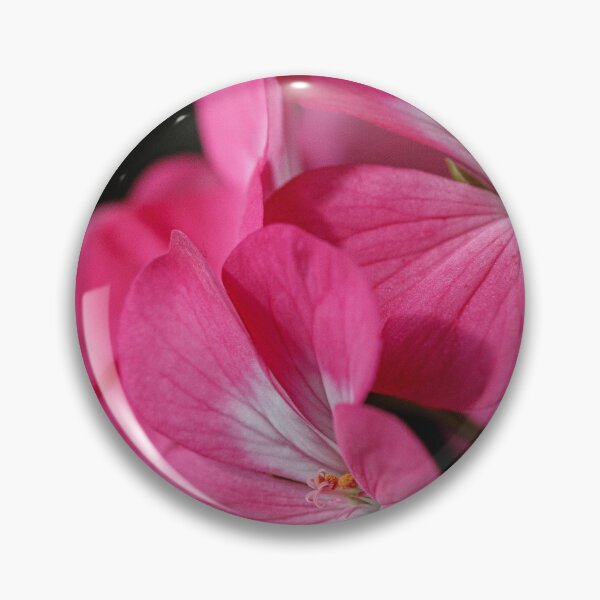 Item preview, Pink Hydrangea Flower  designed and sold by  Roscorla Photography.