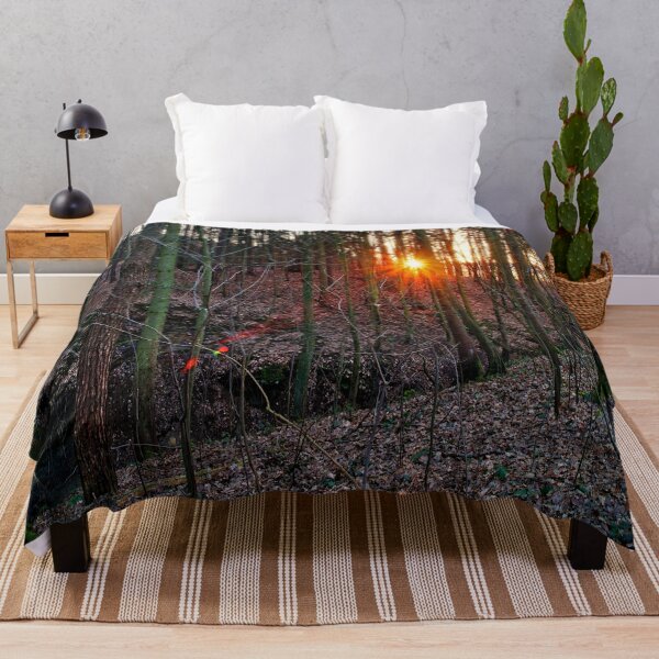 Item preview, Golden sun star in the forest at the beginning of spring designed and sold by frankuffmann.