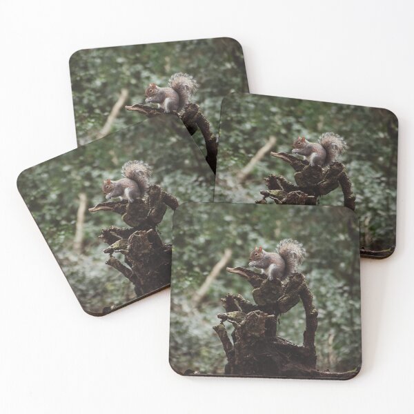 Item preview, Eastham Woods Squirrel designed and sold by neonlightphoto.