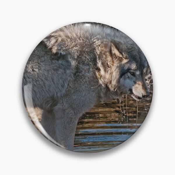 Artikelvorschau, Timberwolf am Teich entworfen und verkauft von Michael Cummings.