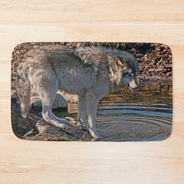 Item preview, Timber Wolf By Pond designed and sold by Michael Cummings.