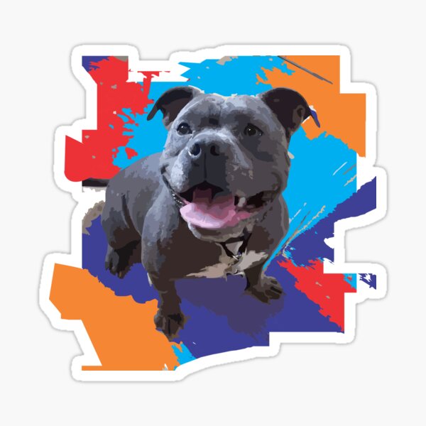 ColorBull by Faye Klein Sticker