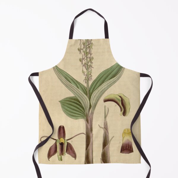 Item preview, Liparis walkeriae Curtis' 66 (N.S. 13) pl. 3770 (1840) designed and sold by EsotericBotanic.