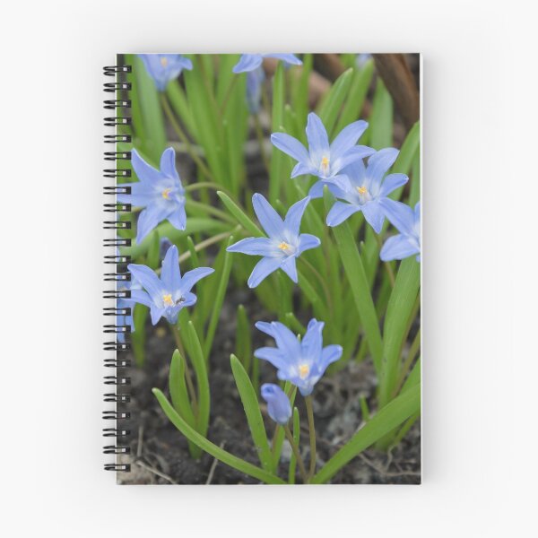 Item preview, blue  flowers in top view of meadow  designed and sold by Alexx60.