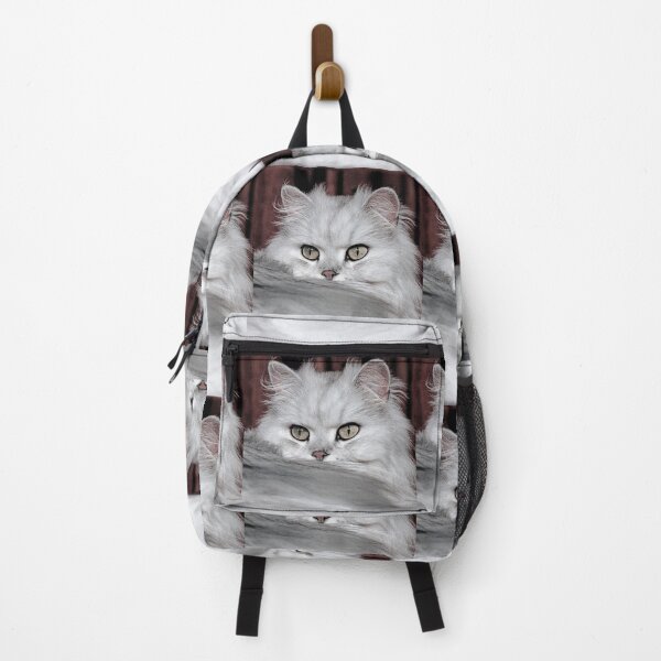 Item preview, r2752/ 3 " Choupette " avec le Studio Portable Okaio et 3 (bal) flahs Okaio - Les Chats du temps de l'Argentique - Cats from the time of the film " (h) Olavia-Olao Okaio Créations designed and sold by o.okaïo.