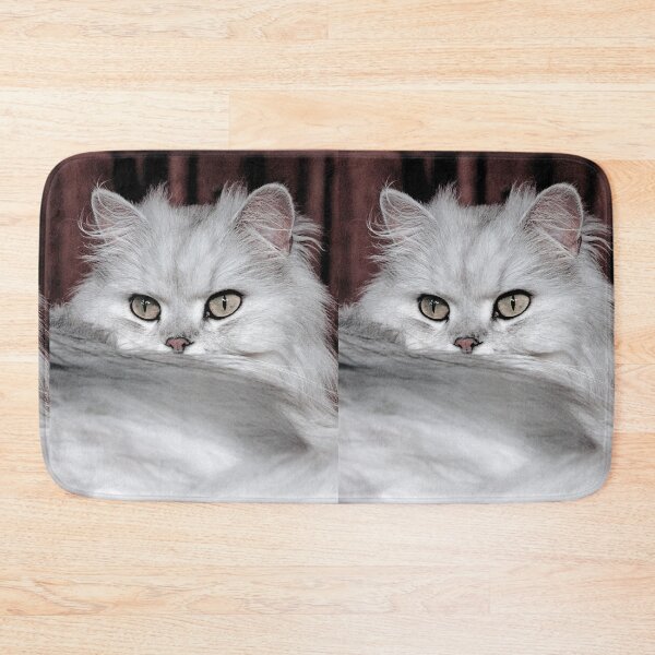 Item preview, r2752/ 3 "  Choupette " avec le Studio Portable Okaio et 3 (bal) flahs Okaio  - Les Chats du temps de l'Argentique - Cats from the time of the film "  (h) Olavia-Olao Okaio Créations designed and sold by o.okaïo.