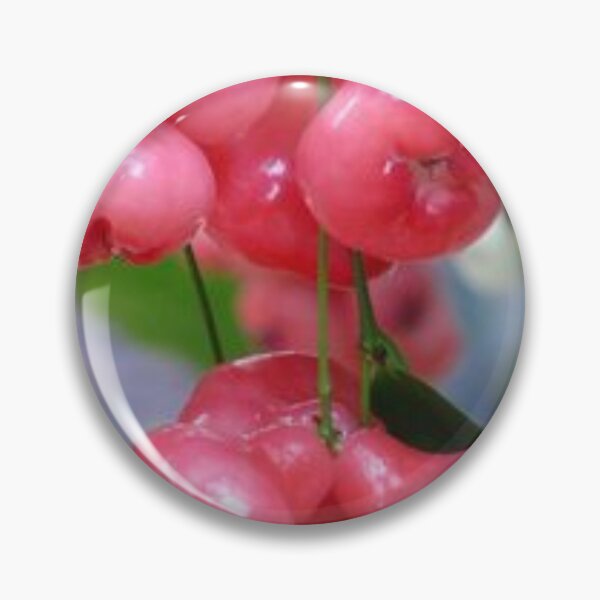Item preview, Beautiful plums. designed and sold by Lan thi Nguyen.