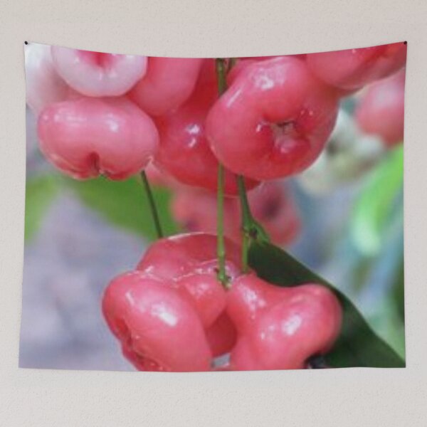 Item preview, Beautiful plums. designed and sold by Lan thi Nguyen.