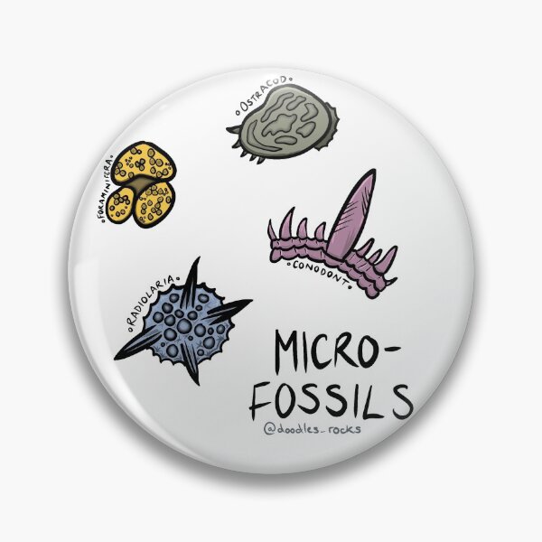 Item preview, Microfossils designed and sold by RockADoodles.