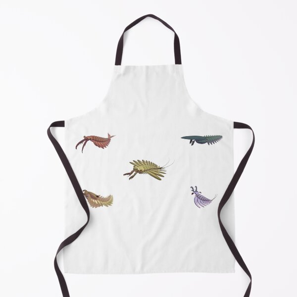Item preview, Cambrian animals designed and sold by PalNox.