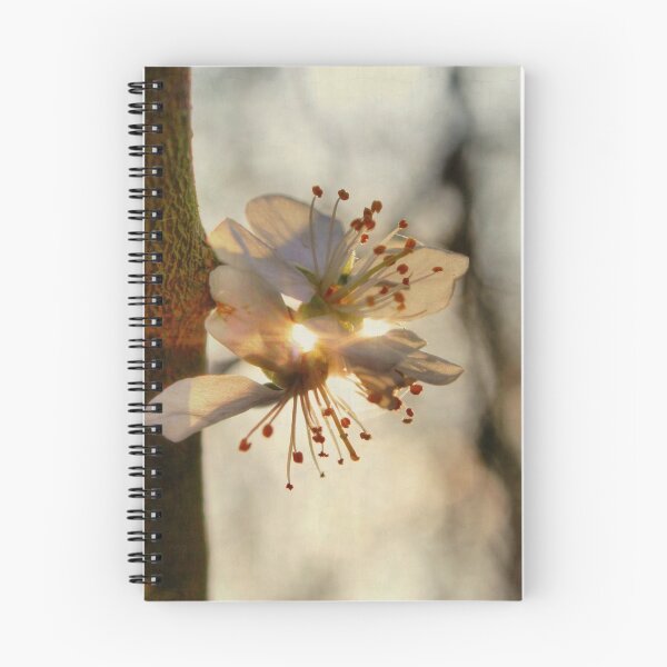 Item preview, Welcome Spring! designed and sold by Vicki Spindler (VHS Photography).