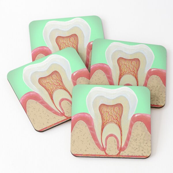 Item preview, Medical illustration Tooth Anatomy  designed and sold by Deathoftheself.